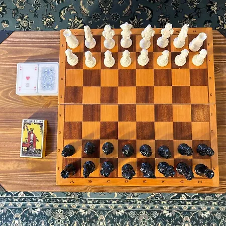 Large Barge, Unique And Atypical, Parking Botel Praga